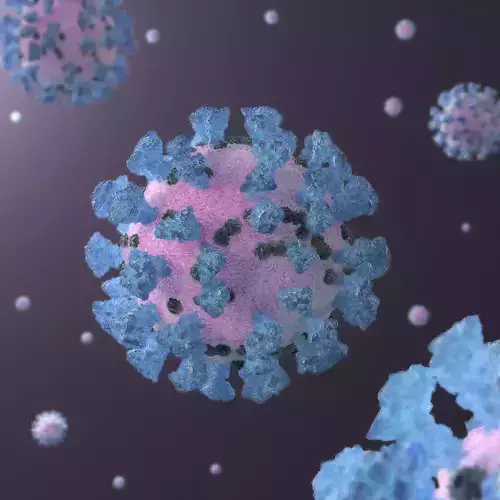 Corona Virus 3d Model COVID-19 model 3D