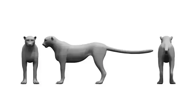 cheetah 3d model panther