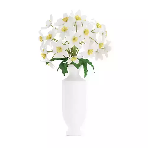 White Flowers in Tall Vase