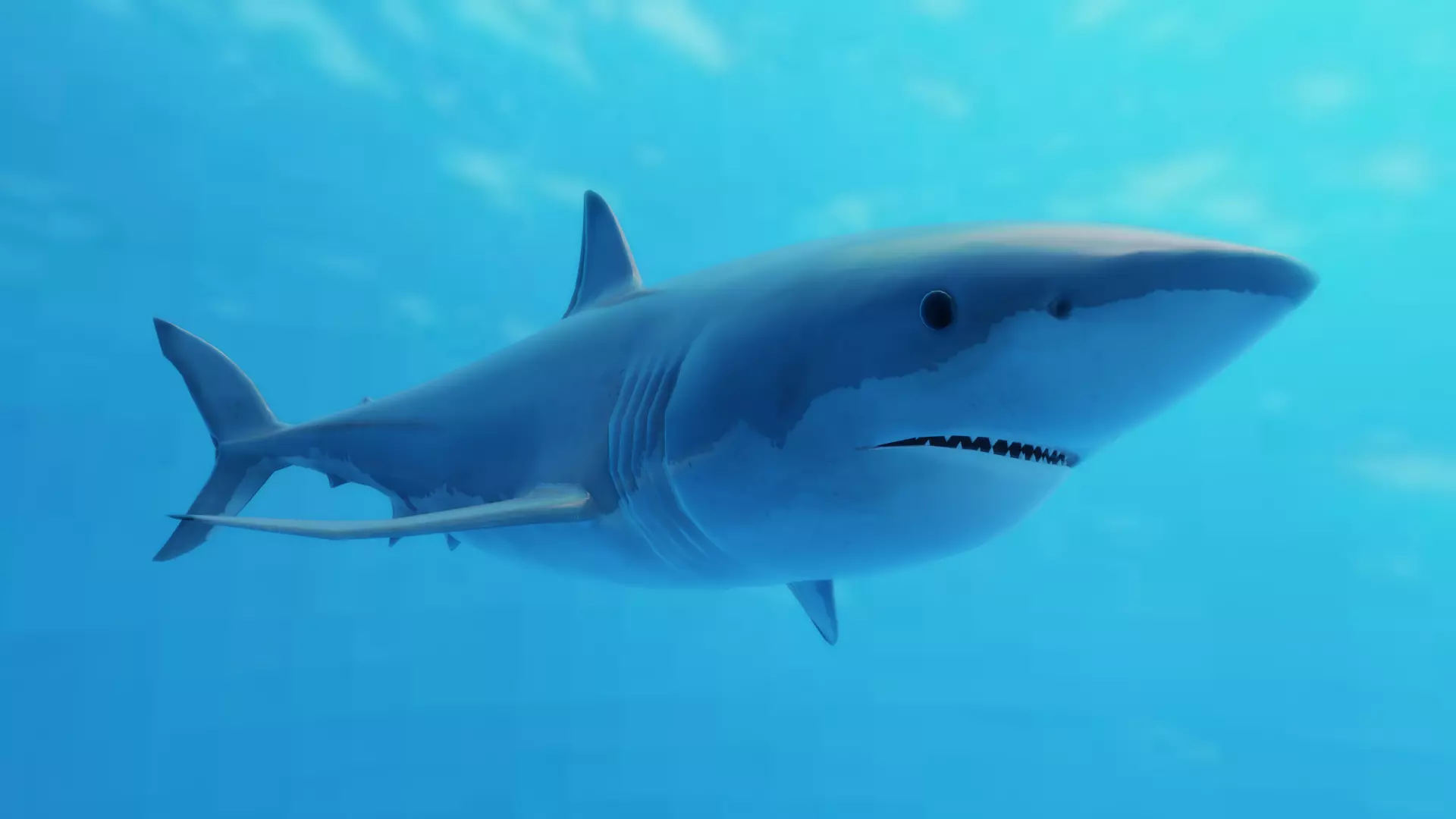 Great White Shark Low-poly 3D model_0