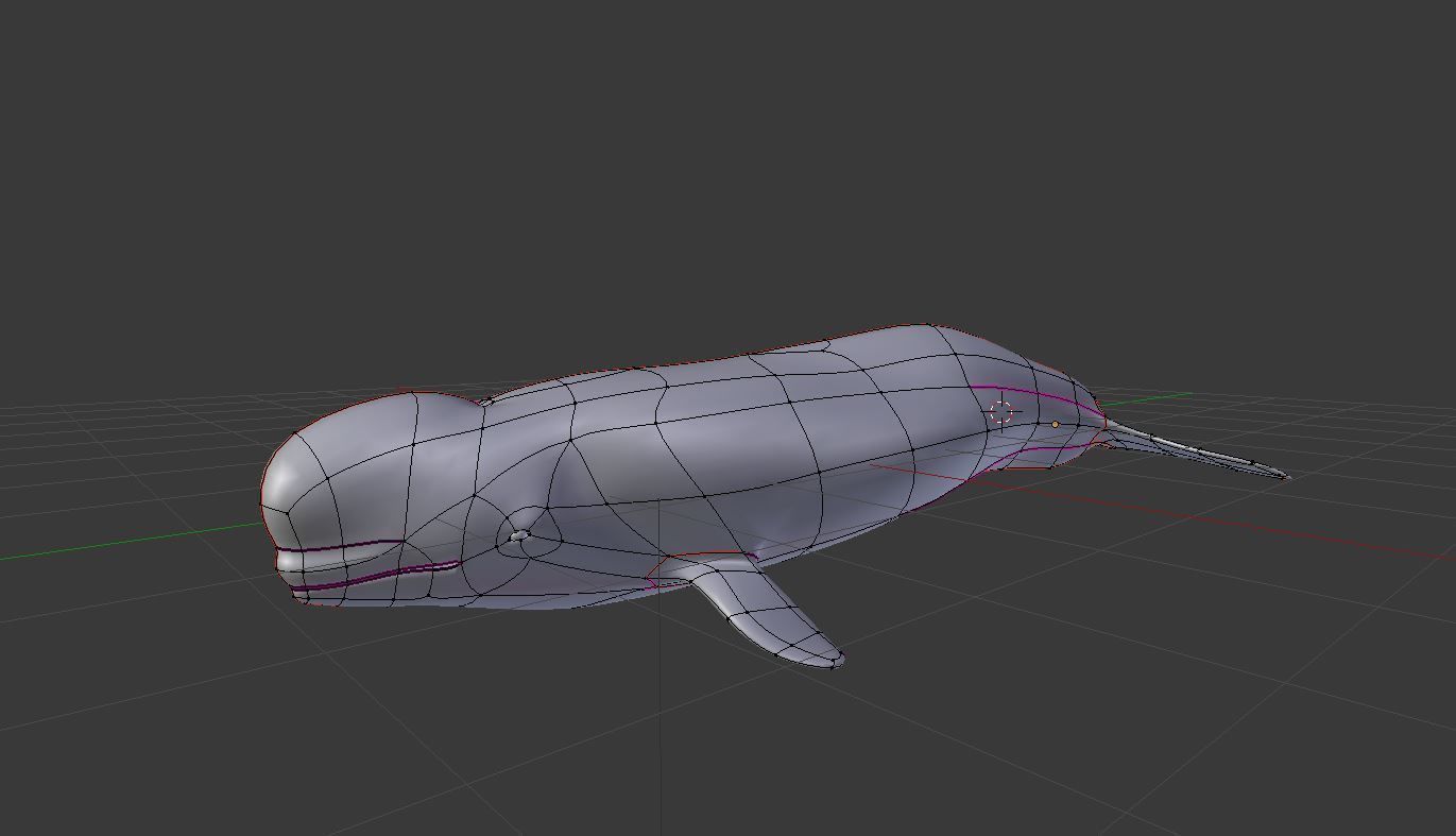 Beluga Whale Low-poly 3D model_7