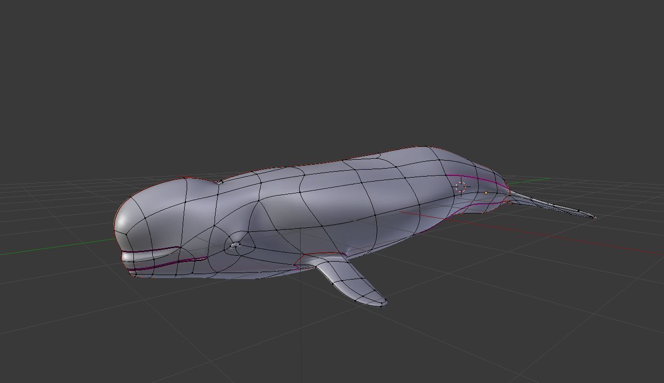 Beluga Whale Low-poly 3D model_6