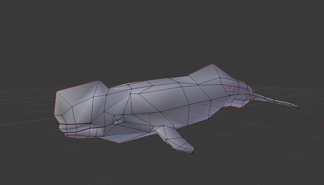 Beluga Whale Low-poly 3D model_5