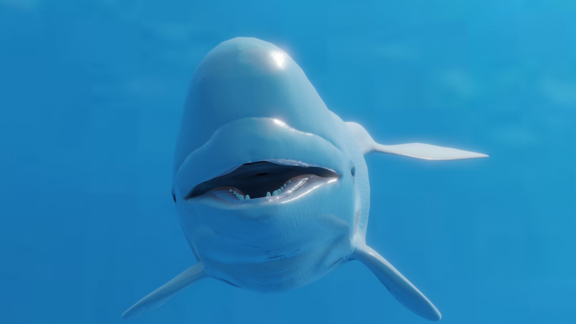 Beluga Whale Low-poly 3D model_2