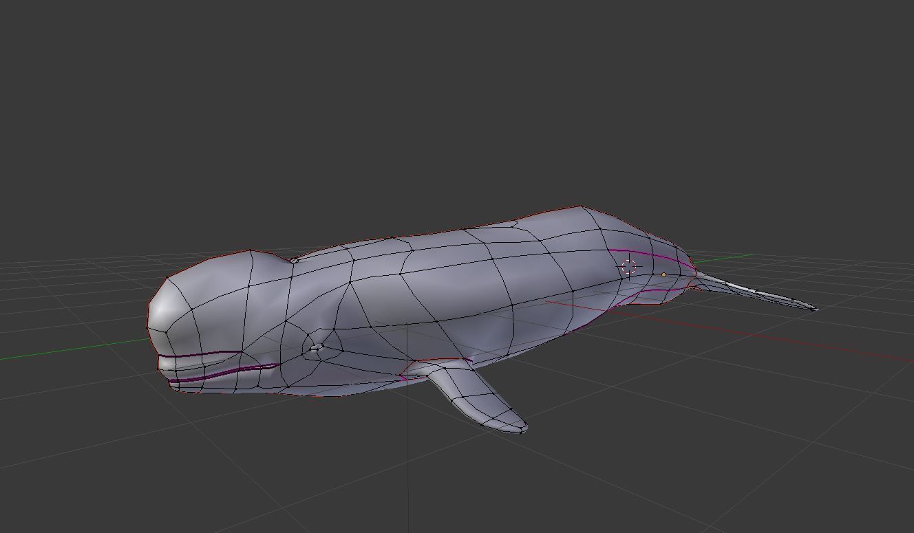Beluga Whale Low-poly 3D model_8