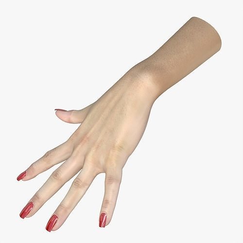 Hand female 3D model Low-poly 3D model