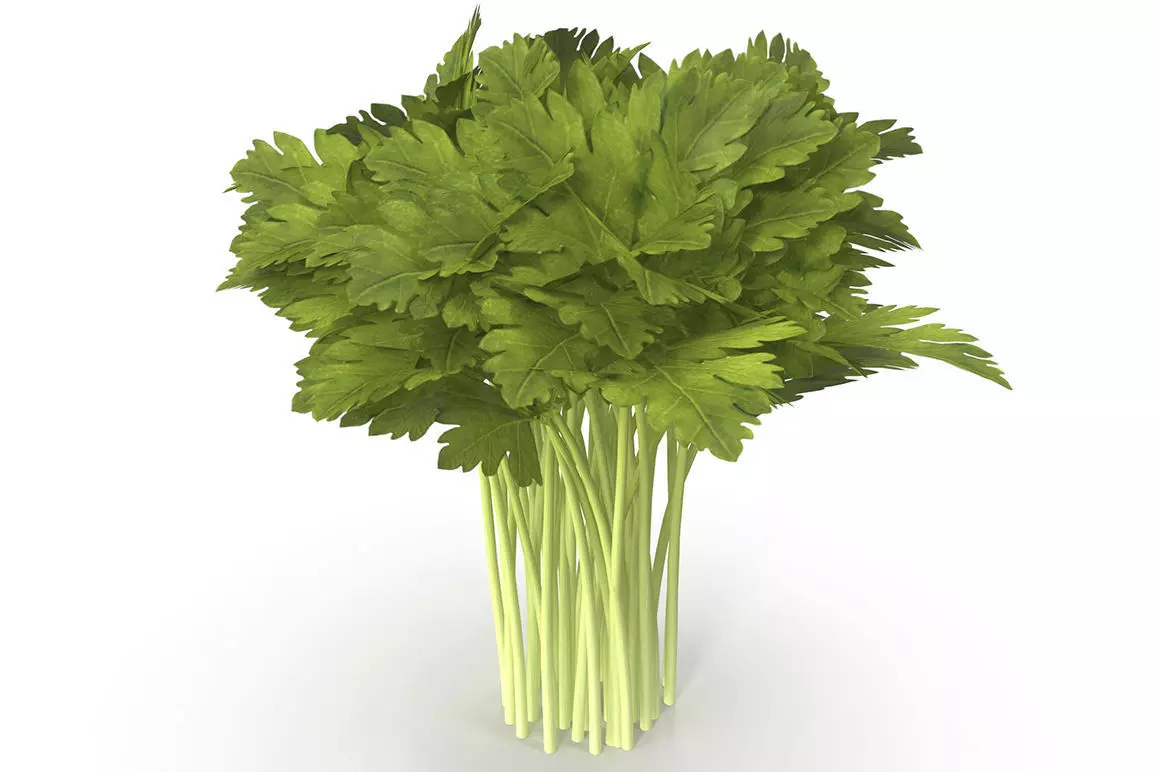 Celery Bunch 3D model_0