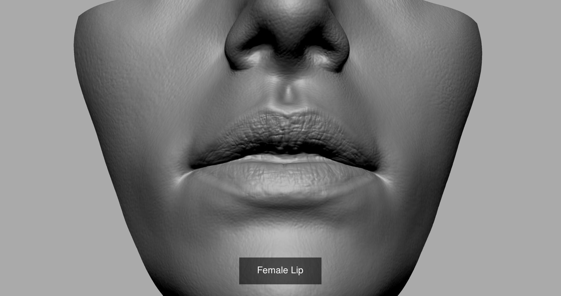 Printable Parts and Heads 3D Model Collection_4