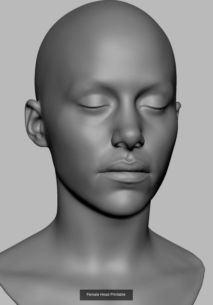 Printable Parts and Heads 3D Model Collection_3