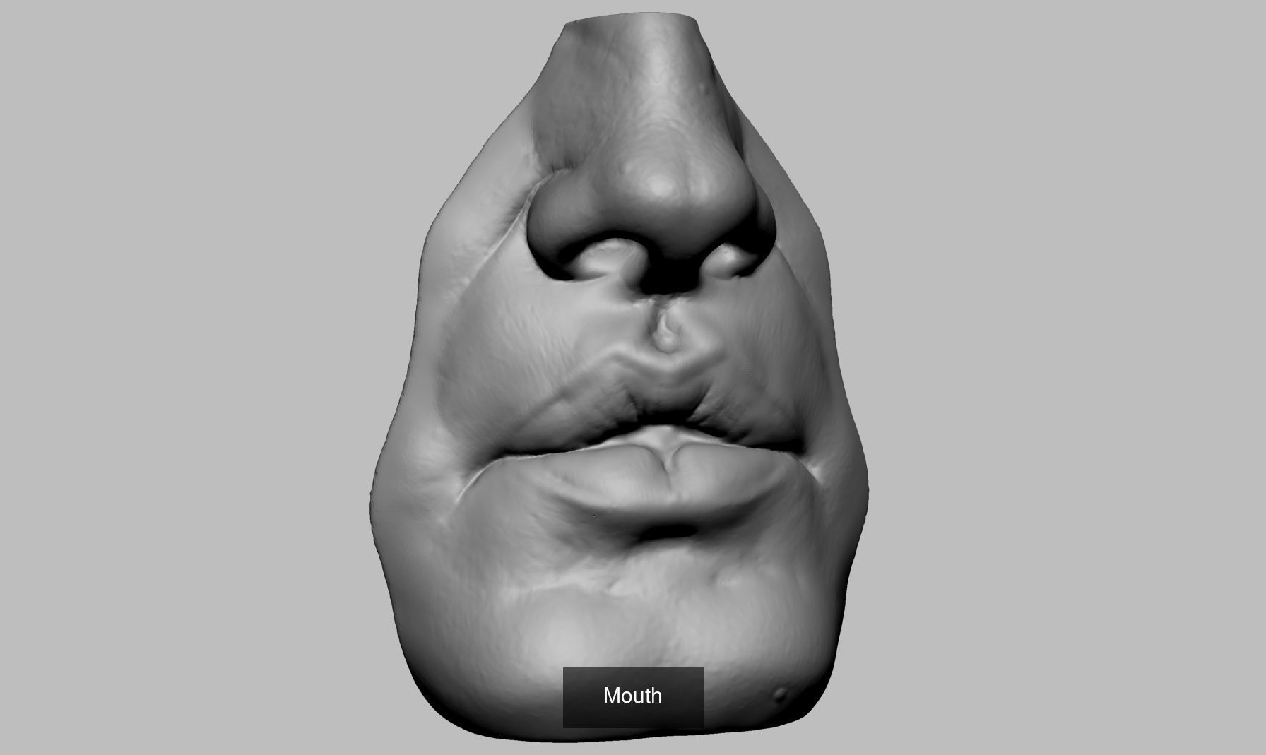 Printable Parts and Heads 3D Model Collection_9