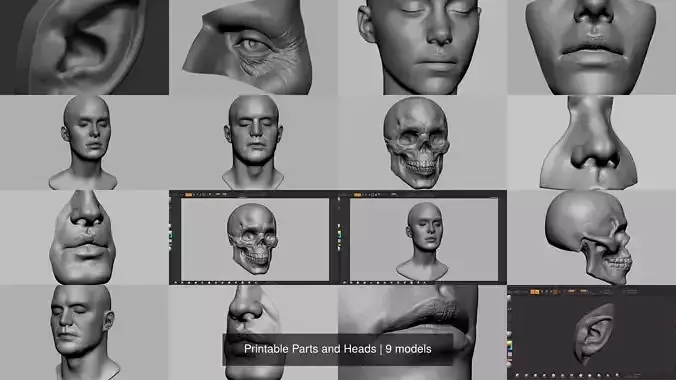 Printable Parts and Heads 3D Model Collection