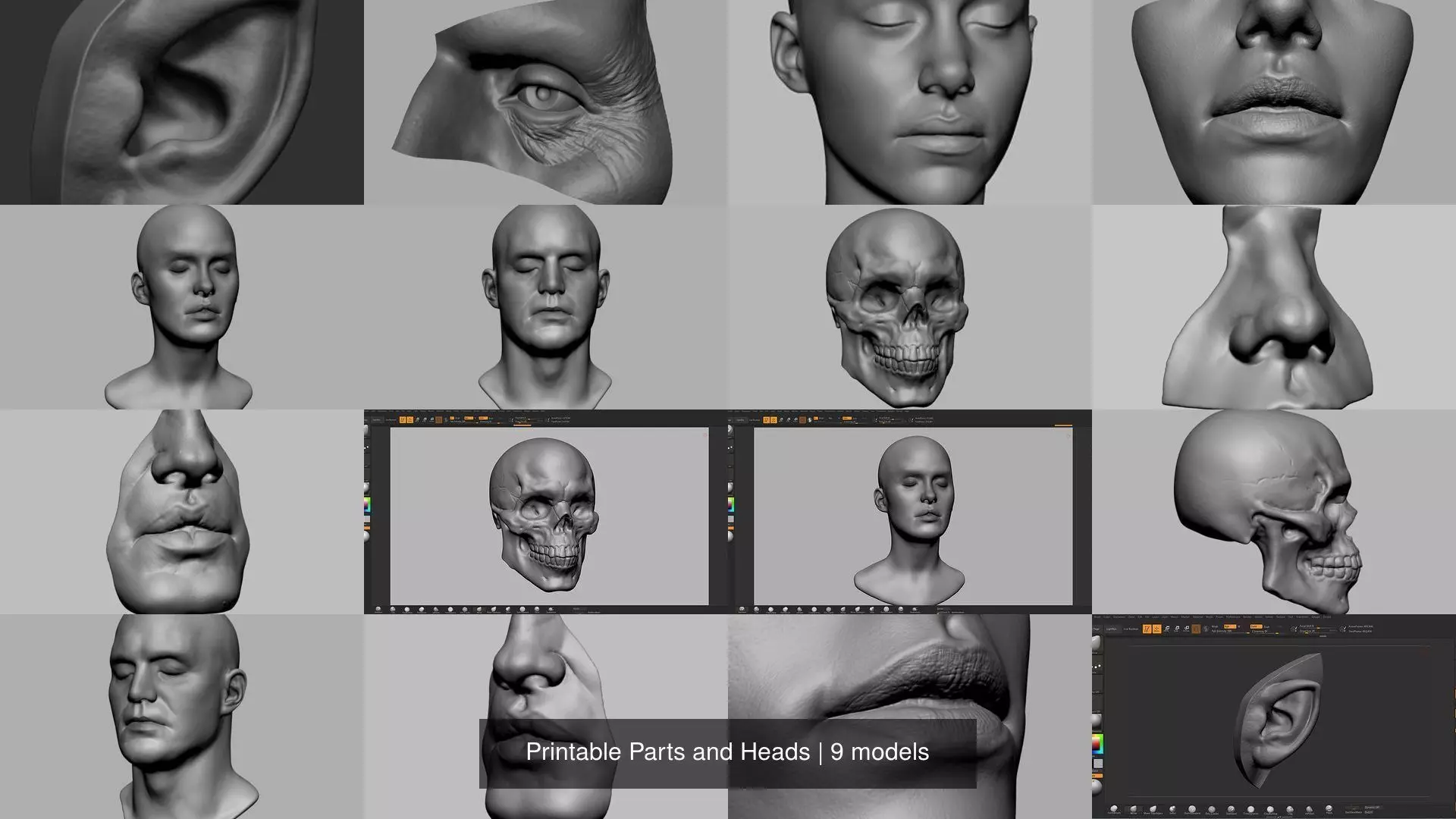 Printable Parts and Heads 3D Model Collection_0