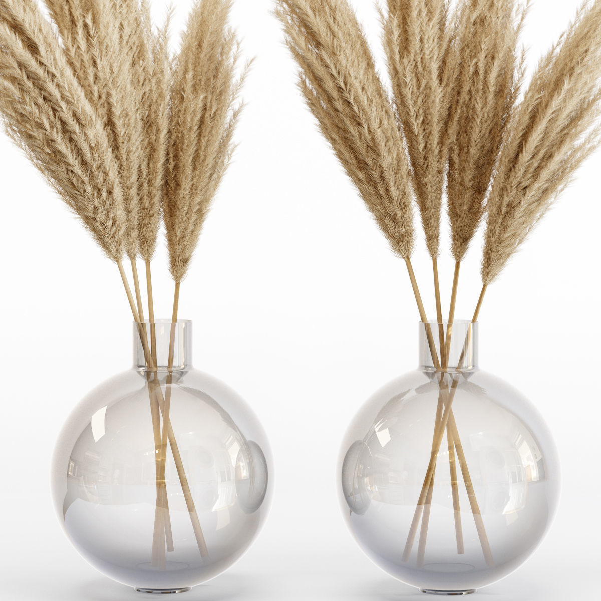 Big dried flower pampas grass in glass vase 6 3D model_4