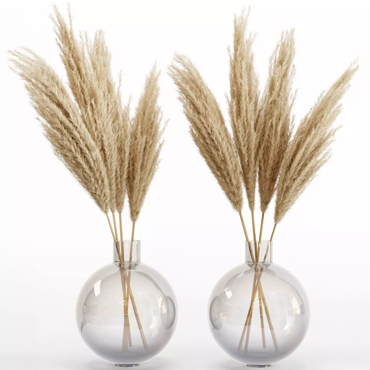 Big dried flower pampas grass in glass vase 6 3D model_0