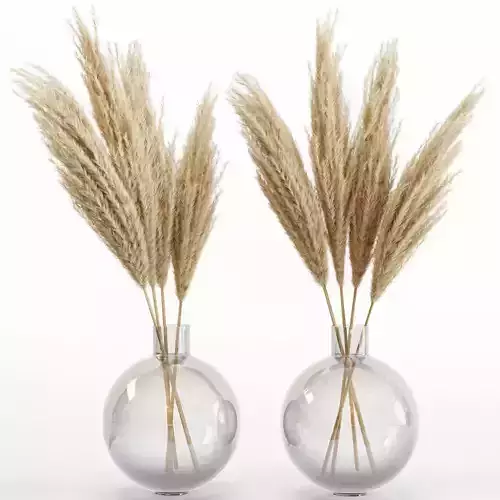 Big dried flower pampas grass in glass vase 6 3D model