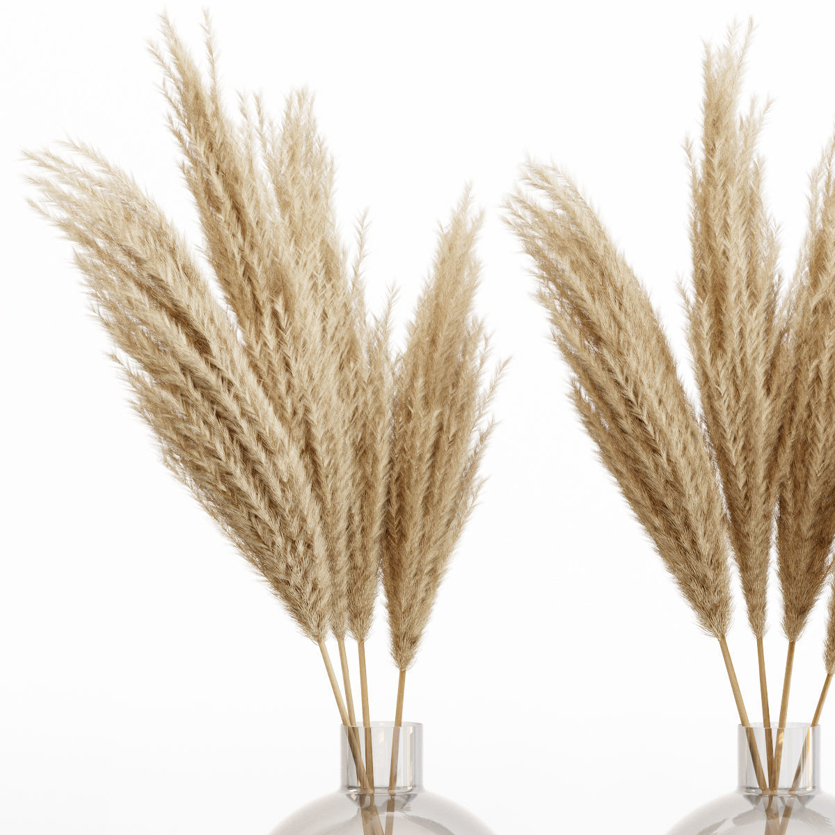 Big dried flower pampas grass in glass vase 6 3D model_2