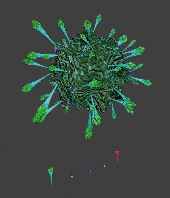 Corona Virus Constructor Pack in Blender Low-poly 3D model_6