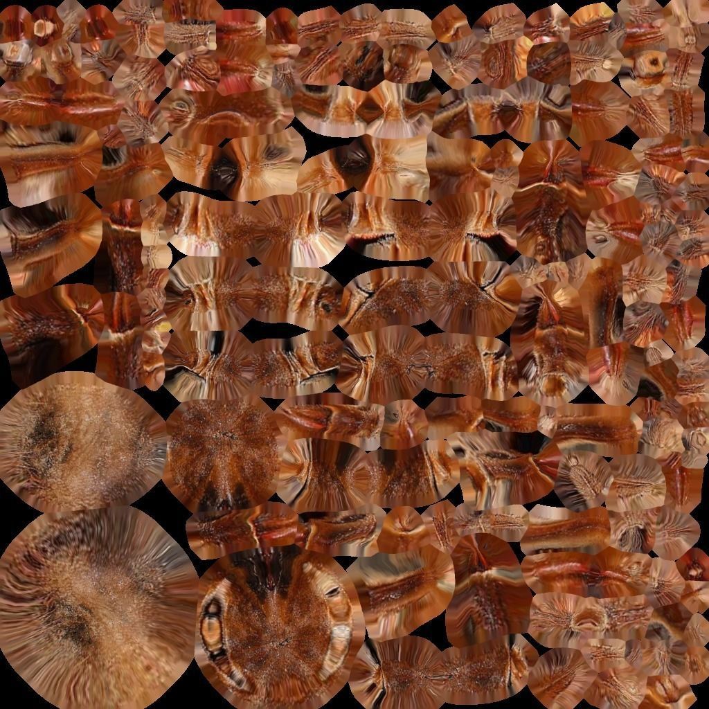 Goliath Bird Eater Low-poly 3D model_3