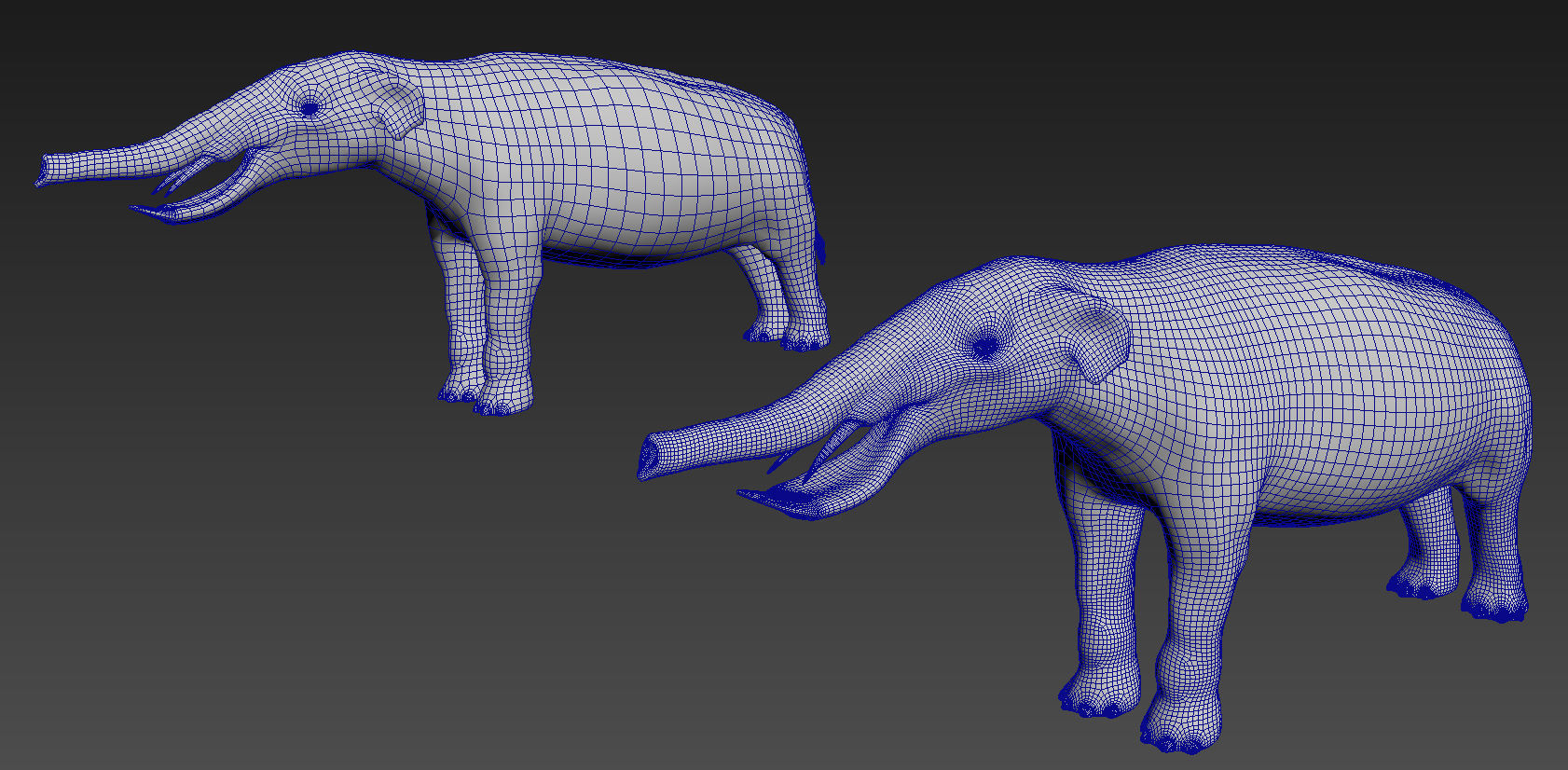 Platybelodon elephant Low-poly 3D model_7