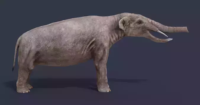 Platybelodon elephant Low-poly 3D model