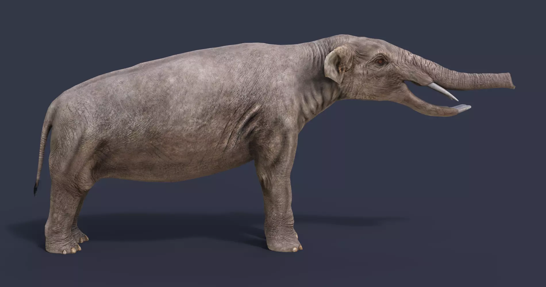 Platybelodon elephant Low-poly 3D model_0