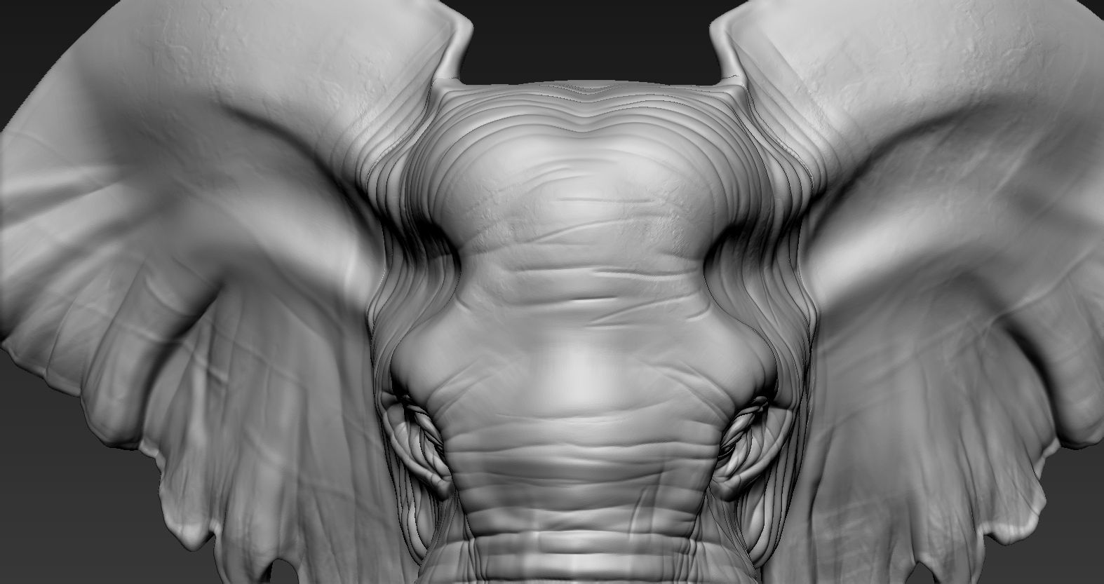 Elephant African Head 3D print model_11