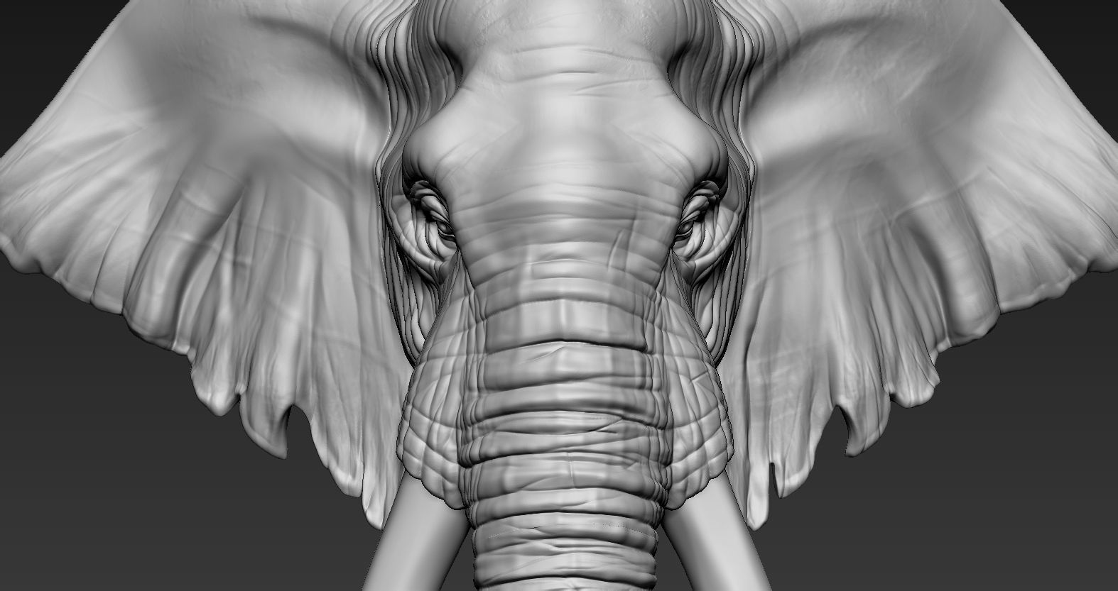 Elephant African Head 3D print model_7