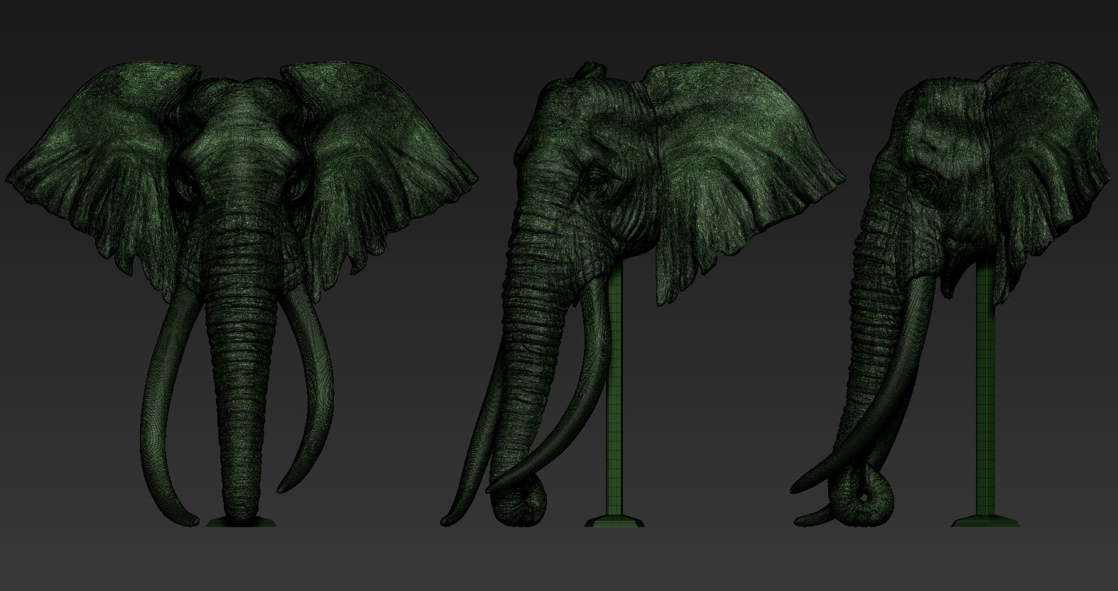 Elephant African Head 3D print model_16