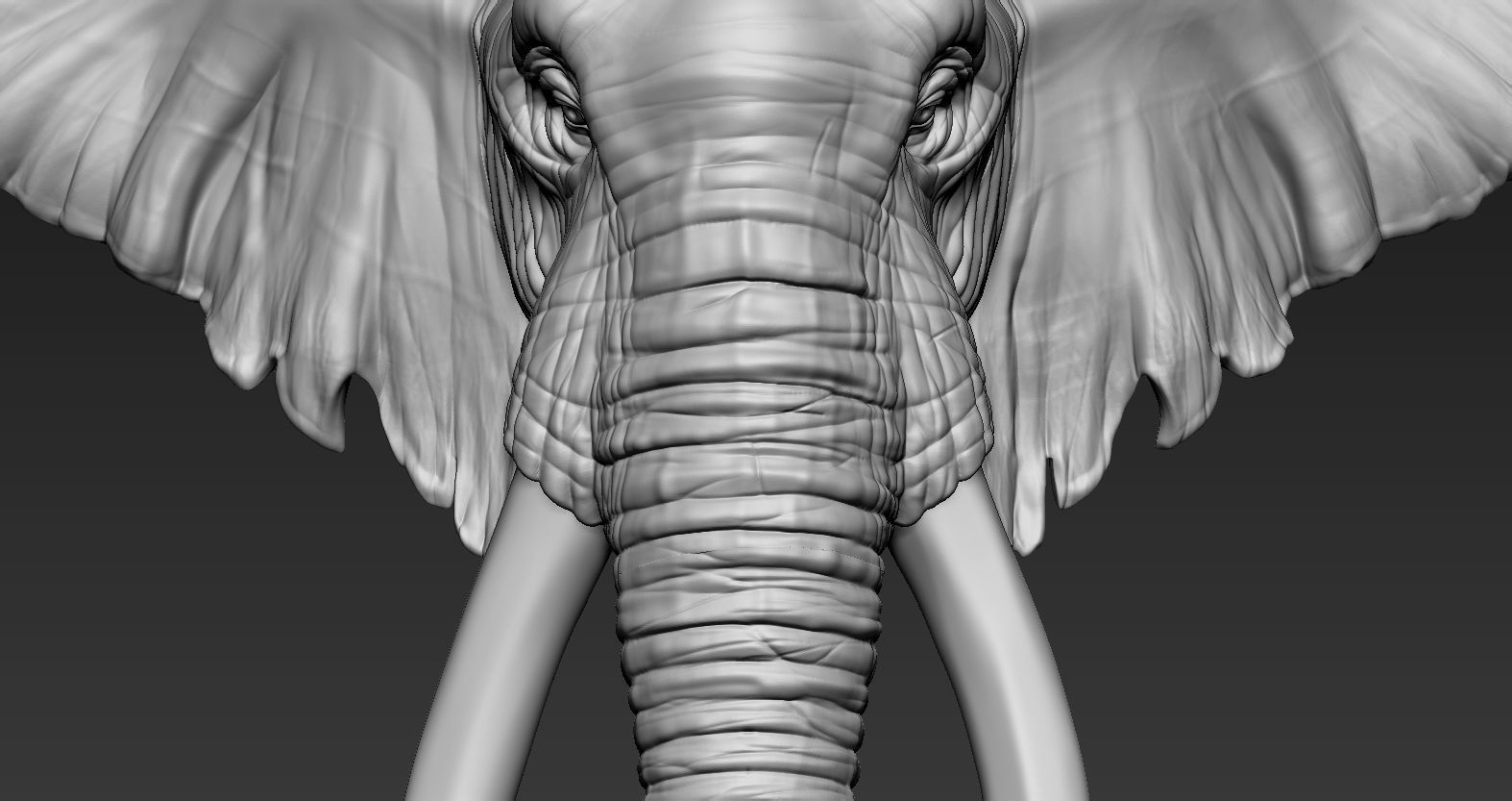 Elephant African Head 3D print model_8