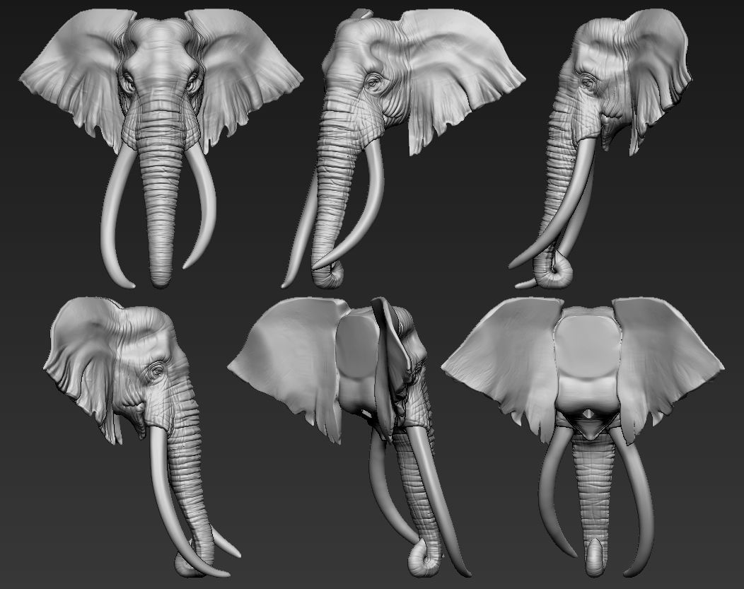 Elephant African Head 3D print model_13