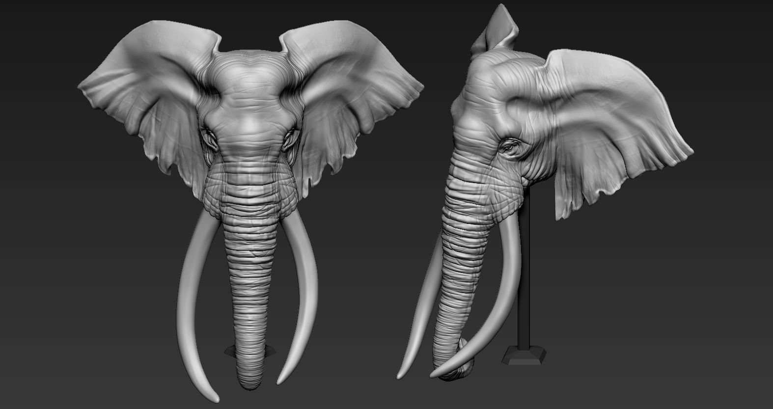 Elephant African Head 3D print model_3