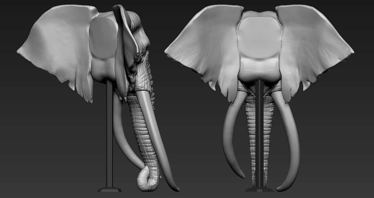 Elephant African Head 3D print model_5