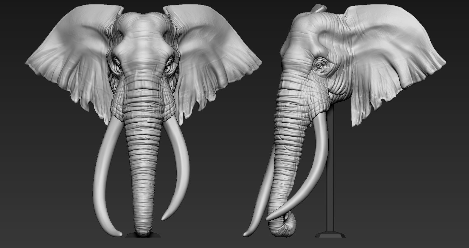 Elephant African Head 3D print model_2