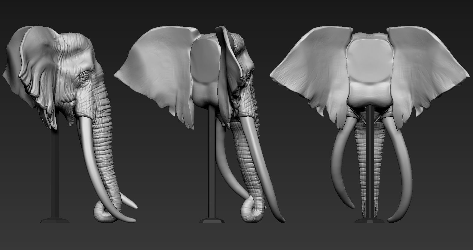 Elephant African Head 3D print model_1