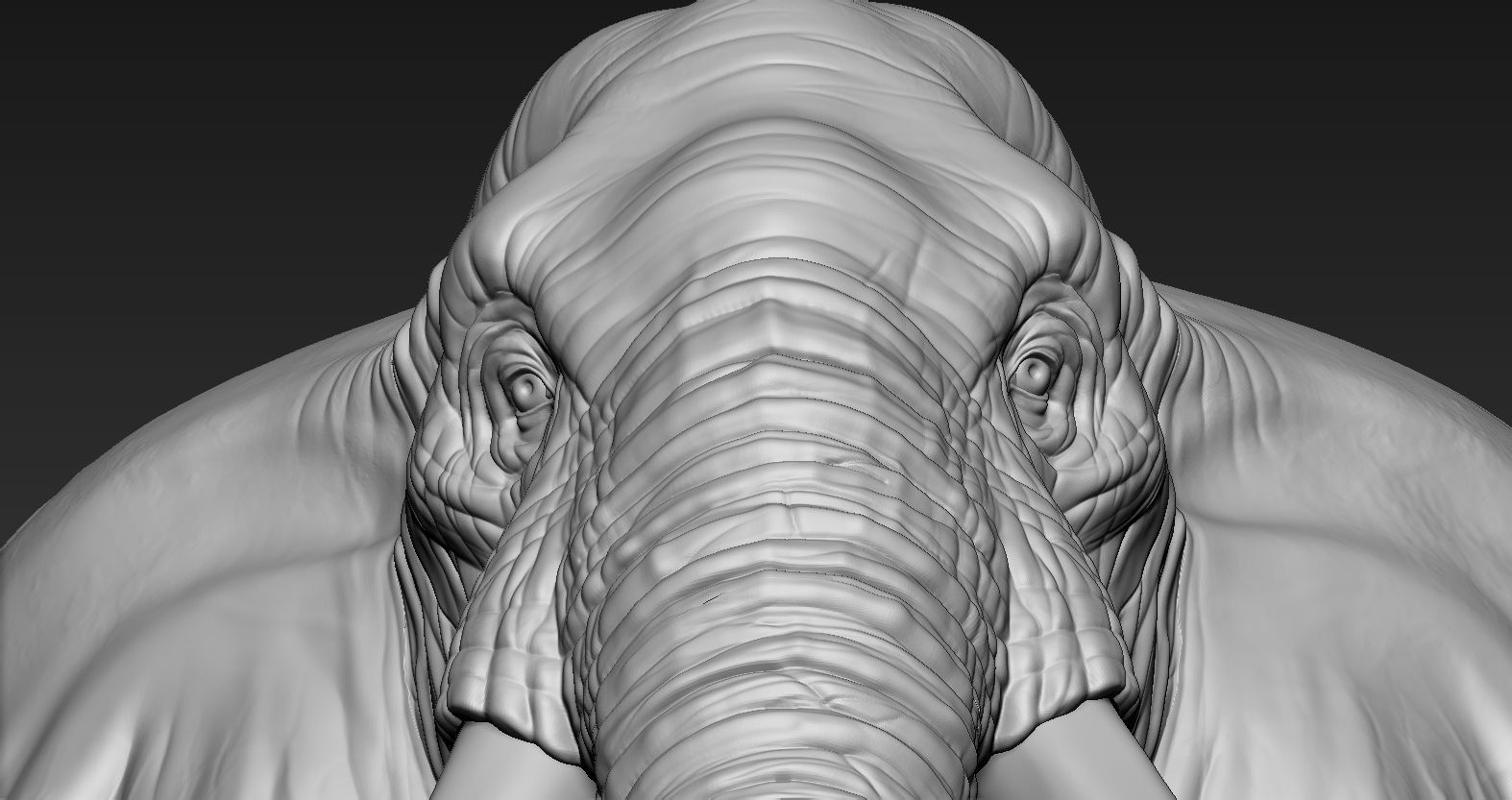 Elephant African Head 3D print model_12