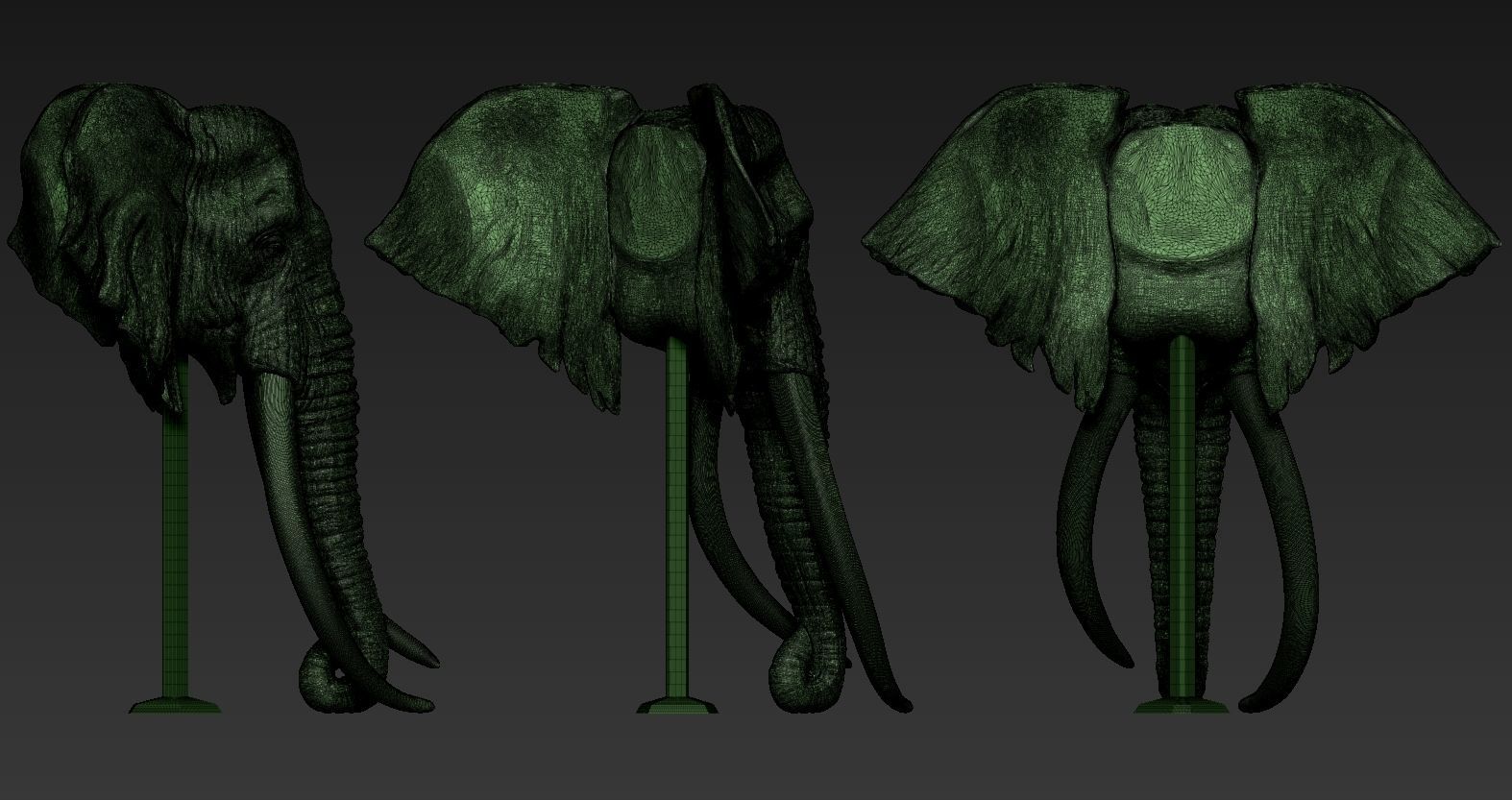 Elephant African Head 3D print model_15
