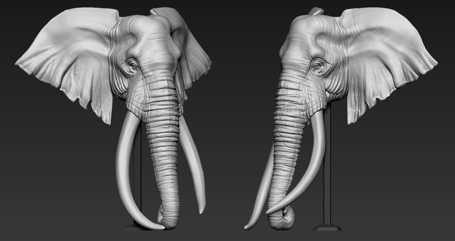 Elephant African Head 3D print model_4