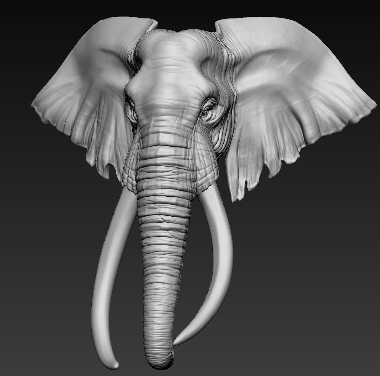 Elephant African Head 3D print model_6
