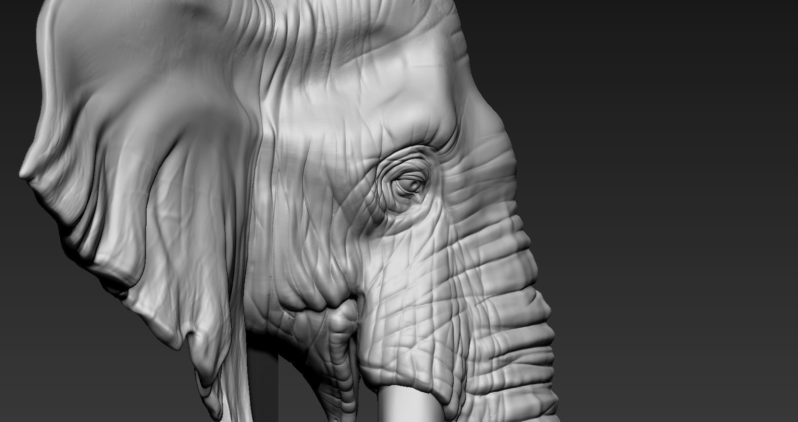 Elephant African Head 3D print model_10