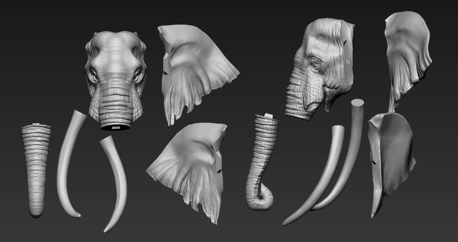 Elephant African Head 3D print model_14