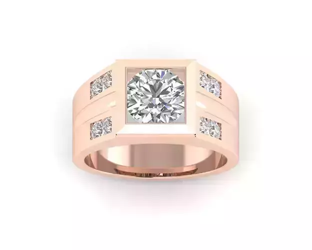 WML0001 3D print Model 