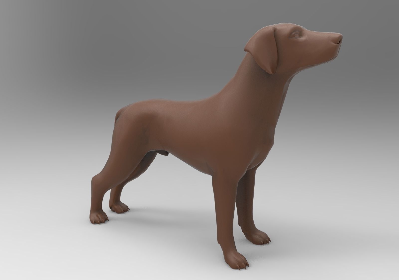 dog labrador 3D print model_2