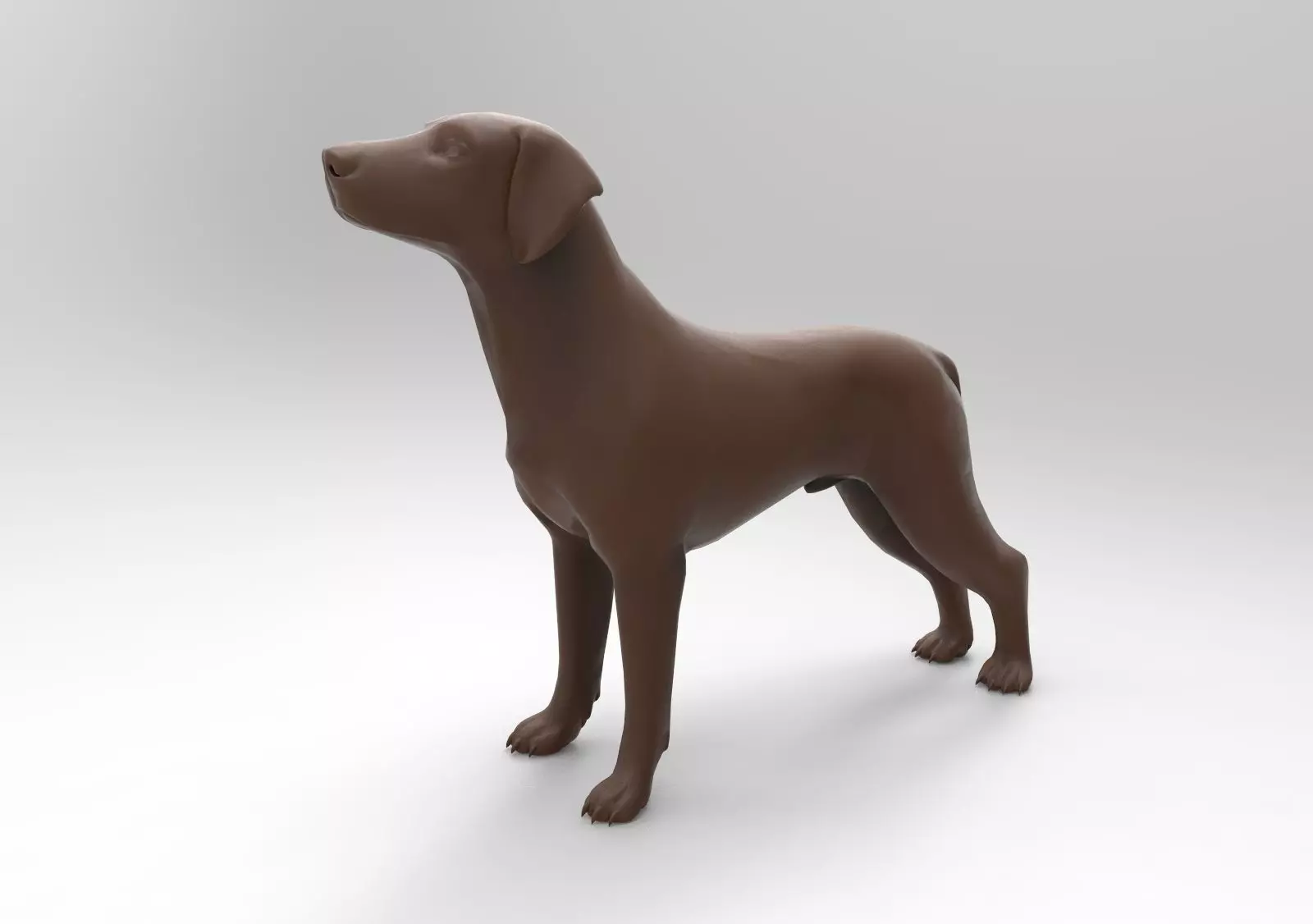 dog labrador 3D print model_0