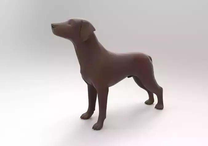 dog labrador 3D print model