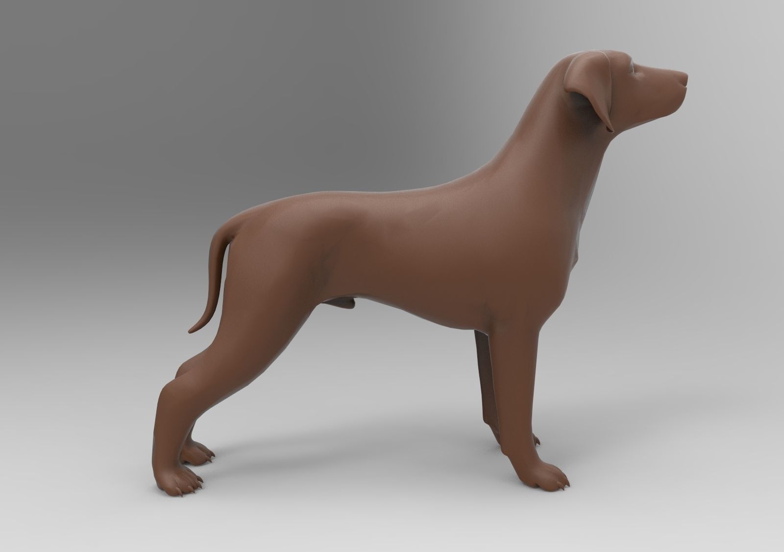 dog labrador 3D print model_3