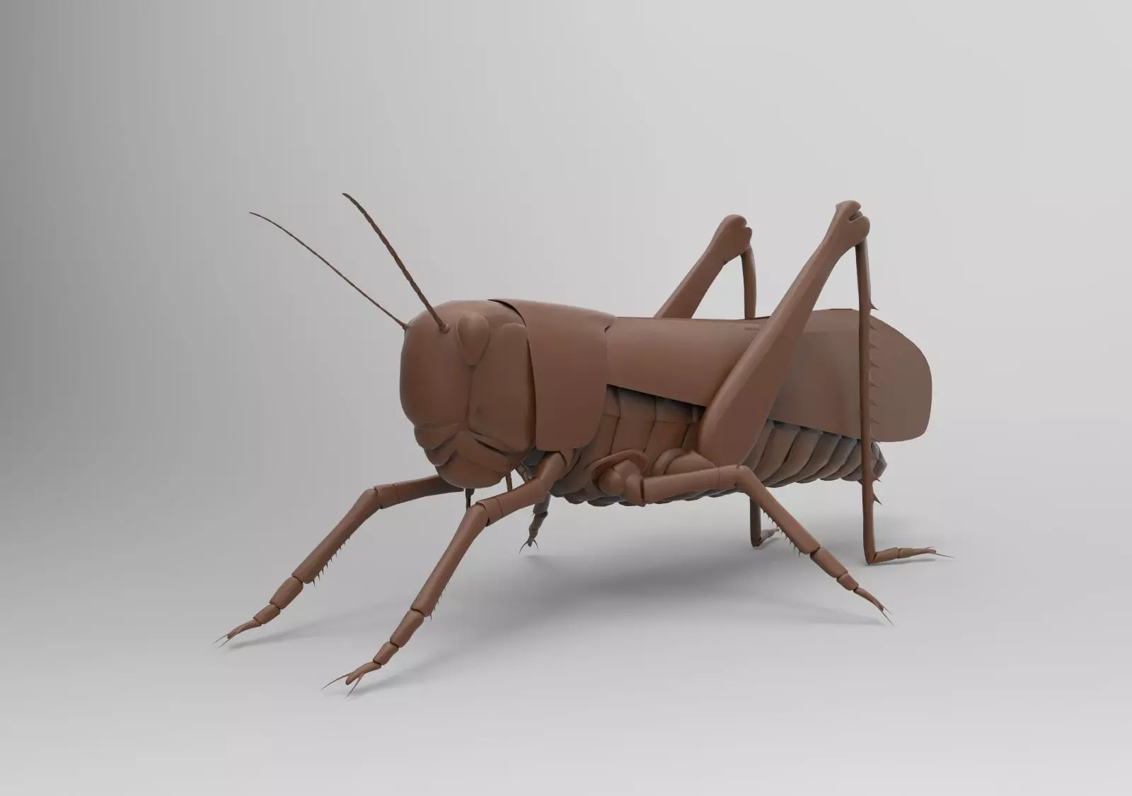 Grasshopper 3D print model