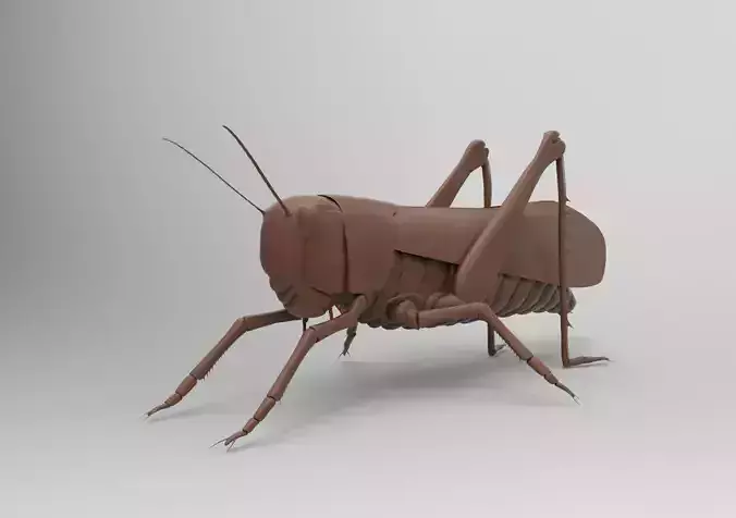 Grasshopper 3D print model
