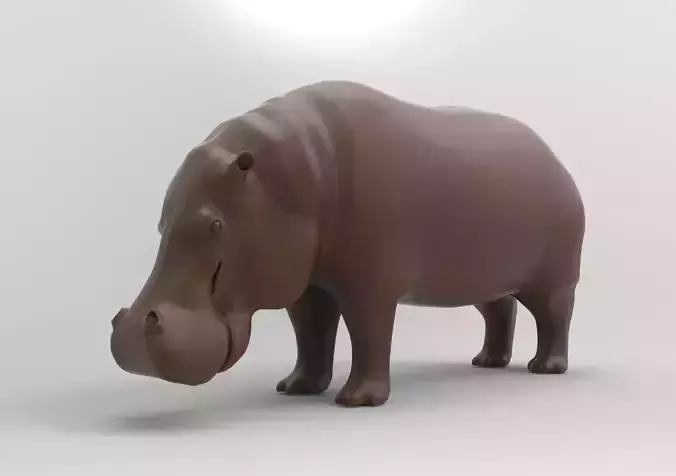 hippopotamus chocolate