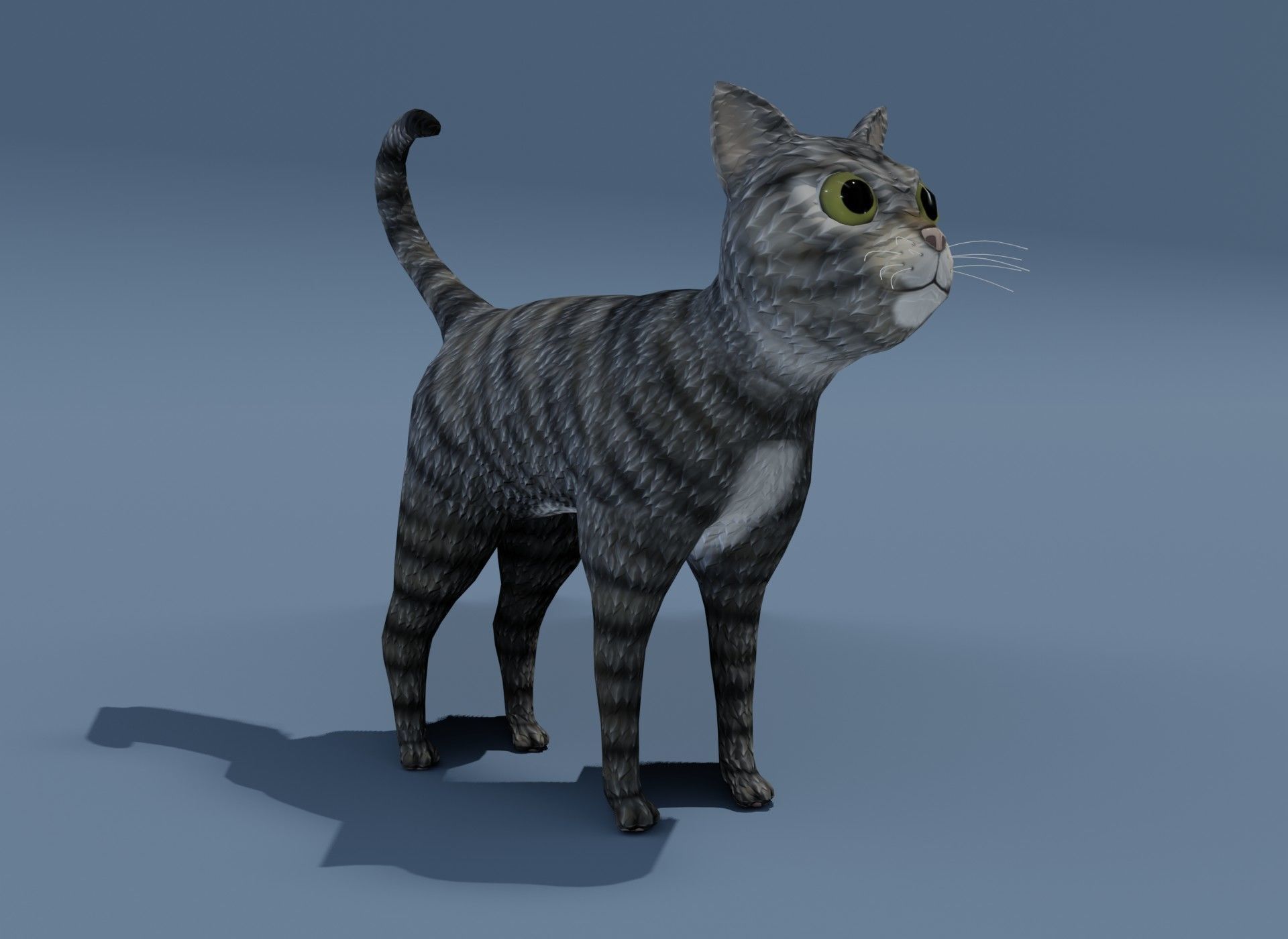 Cartoon Cat Brown Grey Striped 3D Model Low-poly 3D model_9