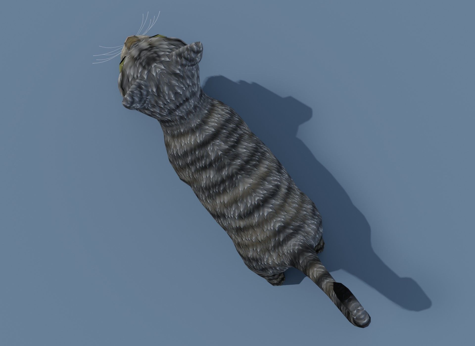 Cartoon Cat Brown Grey Striped 3D Model Low-poly 3D model_13